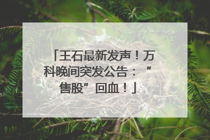王石最新发声！万科晚间突发公告：“售股”回血！