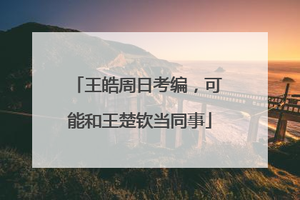 王皓周日考编，可能和王楚钦当同事
