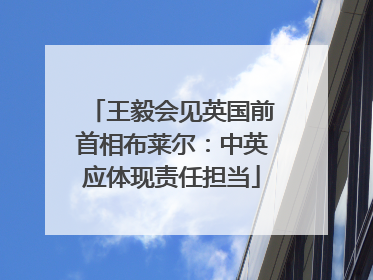 王毅会见英国前首相布莱尔：中英应体现责任担当