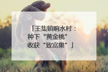 王集镇响水村：种下“黄金桃” 收获“致富果”