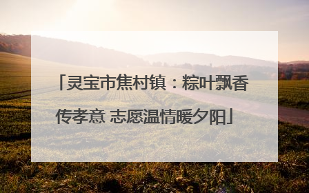 灵宝市焦村镇：粽叶飘香传孝意 志愿温情暖夕阳
