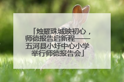 烛耀珠城映初心，师德报告启新程——五河县小圩中心小学举行师德报告会