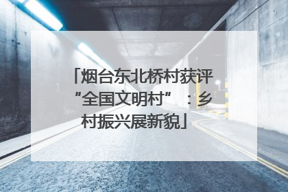 烟台东北桥村获评“全国文明村”：乡村振兴展新貌