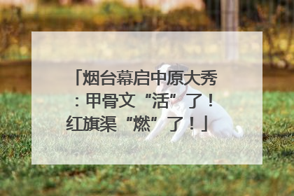 烟台幕启中原大秀：甲骨文“活”了！红旗渠“燃”了！