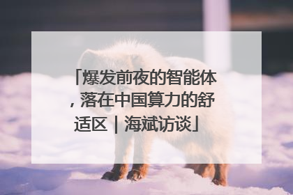 爆发前夜的智能体，落在中国算力的舒适区｜海斌访谈