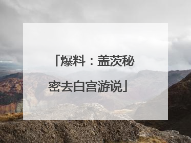 爆料：盖茨秘密去白宫游说