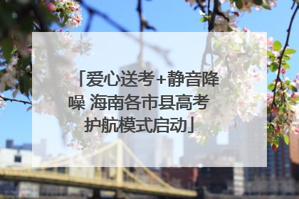 爱心送考+静音降噪 海南各市县高考护航模式启动