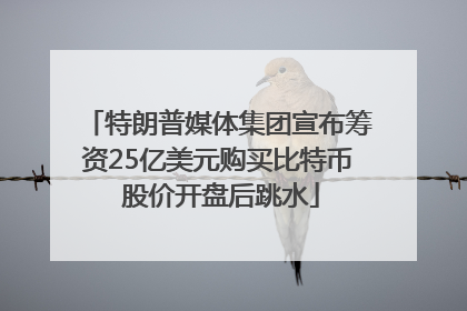 特朗普媒体集团宣布筹资25亿美元购买比特币 股价开盘后跳水
