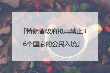 特朗普政府拟再禁止36个国家的公民入境
