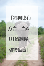 狗狗也有方言，当AI开始翻译动物语言
