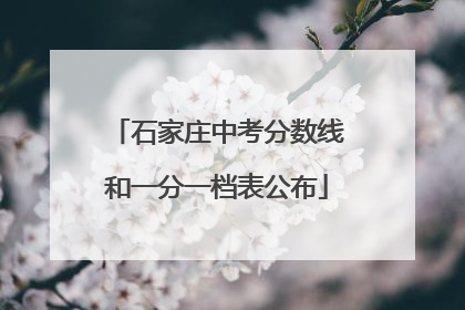 石家庄中考分数线和一分一档表公布