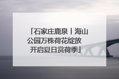 石家庄鹿泉丨海山公园万株荷花绽放 开启夏日赏荷季