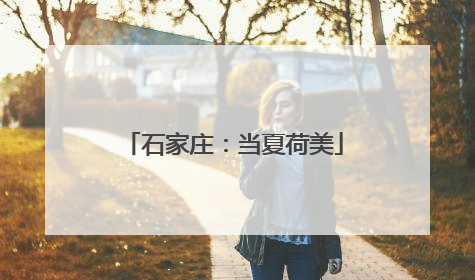 石家庄：当夏荷美