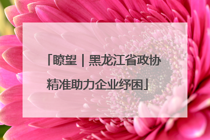 瞭望｜黑龙江省政协精准助力企业纾困