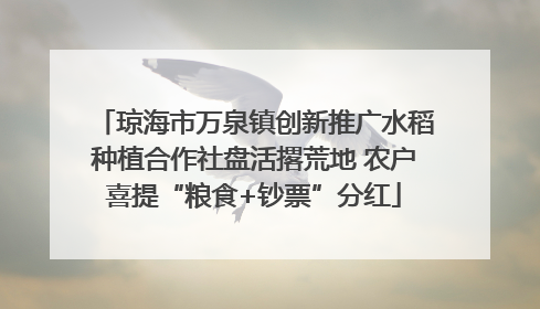 琼海市万泉镇创新推广水稻种植合作社盘活撂荒地 农户喜提“粮食+钞票”分红