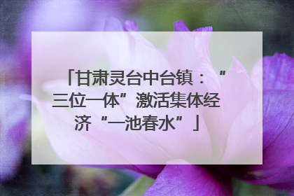 甘肃灵台中台镇：“三位一体”激活集体经济“一池春水”