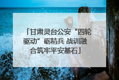 甘肃灵台公安“四轮驱动”砺精兵 战训融合筑牢平安基石