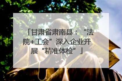 甘肃省肃南县：“法院+工会”深入企业开展“精准体检”