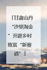 甘肃山丹“沙里淘金”开辟乡村致富“新赛道”