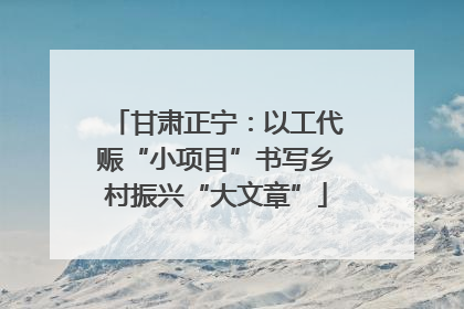 甘肃正宁：以工代赈“小项目”书写乡村振兴“大文章”