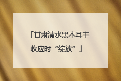 甘肃清水黑木耳丰收应时“绽放”
