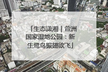 生态潇湘｜萱洲国家湿地公园：新生鹭鸟振翅欲飞