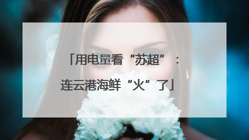 用电量看“苏超”：连云港海鲜“火”了