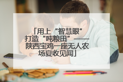 用上“智慧眼” 打造“吨粮田”——陕西宝鸡一座无人农场夏收见闻