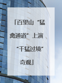 百望山“猛禽通道”上演“千猛过境”奇观