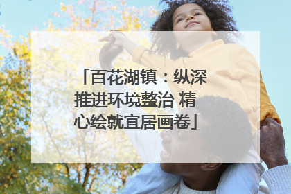 百花湖镇：纵深推进环境整治 精心绘就宜居画卷