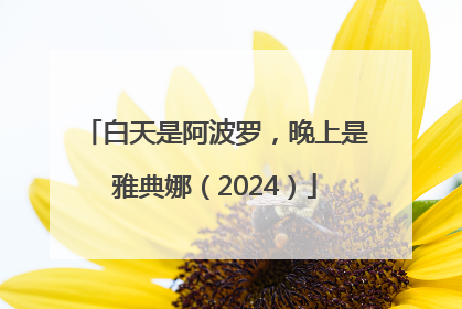 白天是阿波罗，晚上是雅典娜（2024）