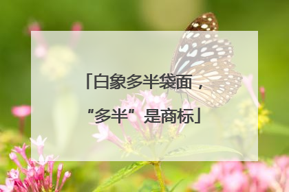 白象多半袋面，“多半”是商标