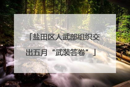 盐田区人武部组织交出五月“武装答卷”