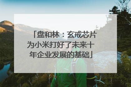 盘和林：玄戒芯片为小米打好了未来十年企业发展的基础