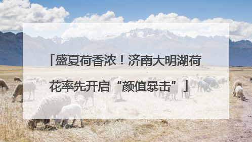 盛夏荷香浓！济南大明湖荷花率先开启“颜值暴击”