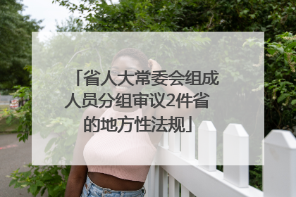 省人大常委会组成人员分组审议2件省的地方性法规