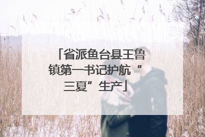 省派鱼台县王鲁镇第一书记护航“三夏”生产