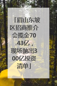 眉山东坡区招商推介会揽金70.43亿，现场抛出300亿投资清单