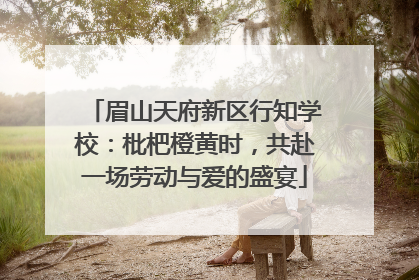 眉山天府新区行知学校：枇杷橙黄时，共赴一场劳动与爱的盛宴