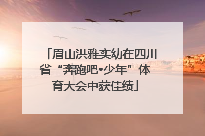 眉山洪雅实幼在四川省“奔跑吧•少年”体育大会中获佳绩