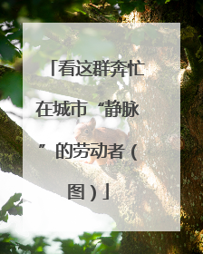 看这群奔忙在城市“静脉”的劳动者（图）