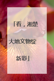 看，湘楚大地文物绽新彩