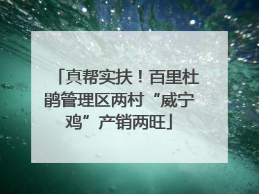 真帮实扶！百里杜鹃管理区两村“威宁鸡”产销两旺