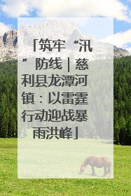 筑牢“汛”防线｜慈利县龙潭河镇：以雷霆行动迎战暴雨洪峰