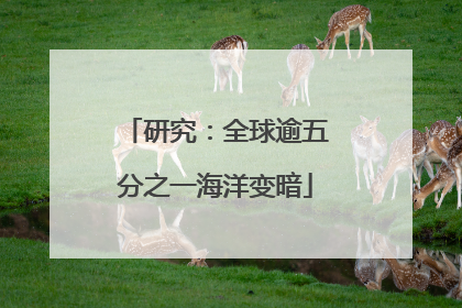 研究：全球逾五分之一海洋变暗