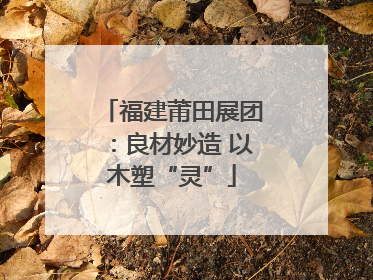 福建莆田展团：良材妙造 以木塑“灵”