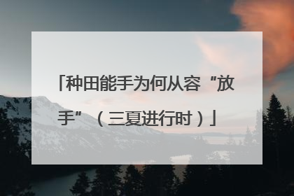 种田能手为何从容“放手”（三夏进行时）