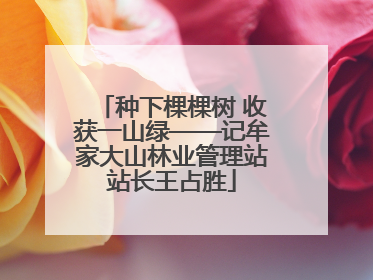 种下棵棵树 收获一山绿——记牟家大山林业管理站站长王占胜