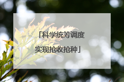 科学统筹调度实现抢收抢种