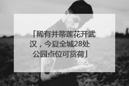 稀有并蒂莲花开武汉，今夏全城28处公园点位可赏荷